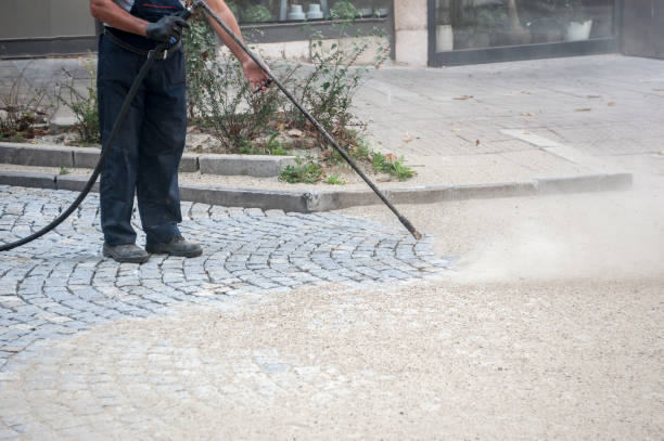 Best Graffiti Removal  in Gages Lake, IL
