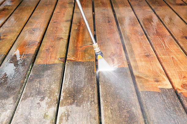 Best Dumpster Area Cleaning  in Gages Lake, IL